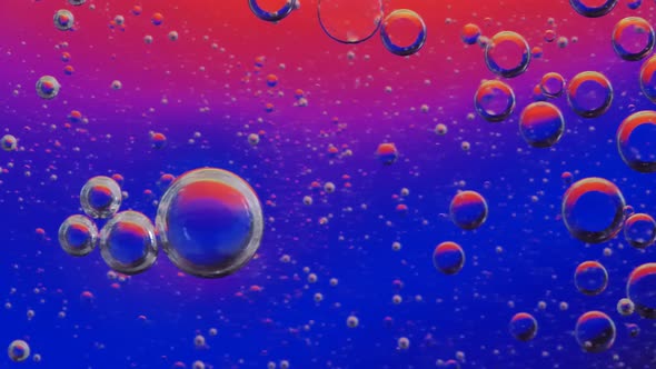 OL bubbles swim on the surface of water and are illuminated from behind with changing light.