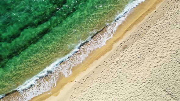 Tropical Beach and Waves