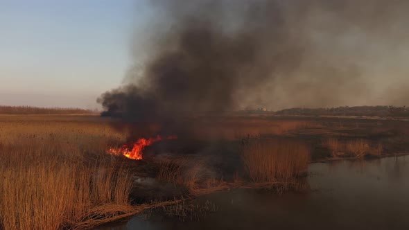 Burning dry reeds on the river bank