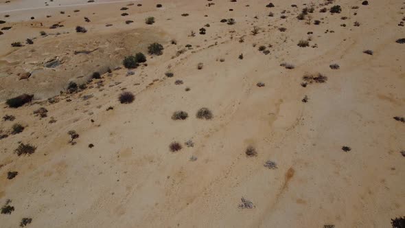 Lots of small desert plants and huge mountains in Erongo region of Namibia