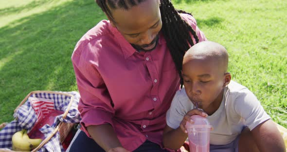 Video of happy african american father and son having picnic outdoors and taking selfie