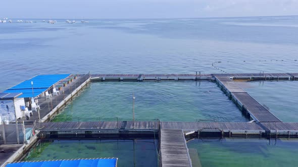 Captive dolphins swim in marine pens, Punta Cana, Caribbean; aerial