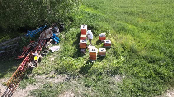 aerial view Beekeeper harvesting honey