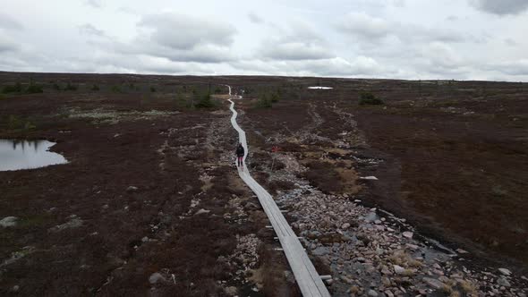 A woman and her small dog walking on a plank path in the Swedish mountains. Aerial fly by revealing