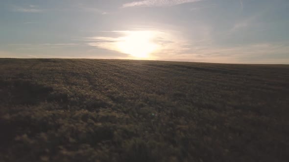 Moving drone view of endless green fields