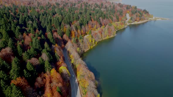 Autumn colors near the lake