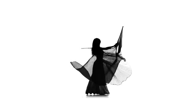 Exotic Belly Dancer Girl Dance with Wings on White, Silhouette