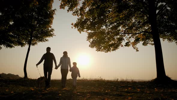 Silhouettes of a Family Holding Hands and Walking with a Dog During Amazing Sunset