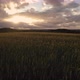 Aerial Drone View of Golden Fields with Dramatic Colorful Skies at Sunset - VideoHive Item for Sale
