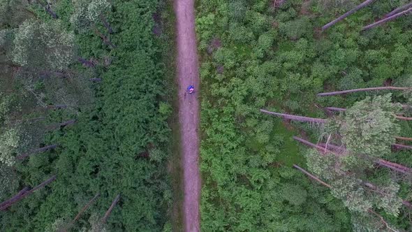 Aerial view of a mountain biker on a singletrack trail