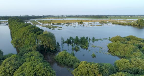 Aerial view of corn field along river Maas, The Netherlands.