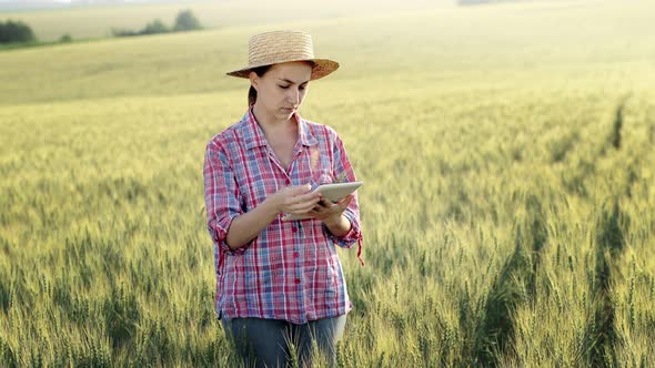 A young fcrmer checks a grain field and sends data to the cloud from a tablet.
