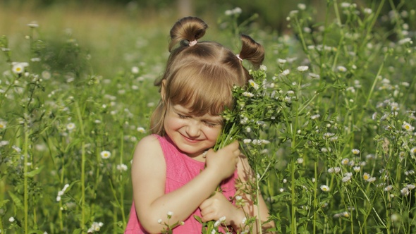 Little Blonde Child Girl in Pink Dress Stay on Flower Chamomile Grass Meadow. Bouquet of Daisies