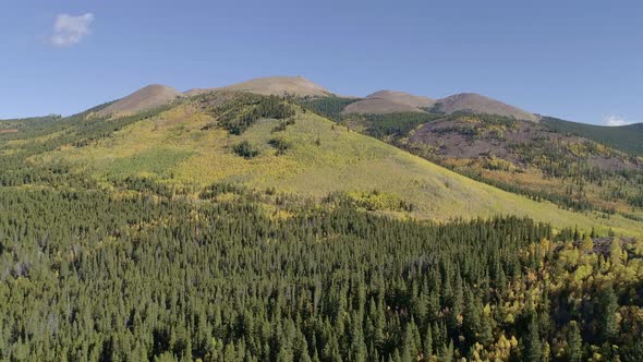 Fall foliage at Boreas Pass, CO