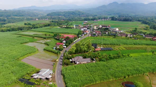 Remote village, sugarcane fields, green gardens and rainforest on Java, aerial