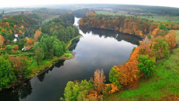 Dark river and autumn forest, aerial view