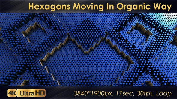 Wall of Hexagons Moving In Organic Way