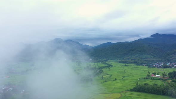 Aerial view drone flying over the paddy rice fields with Nature in morning and fog.