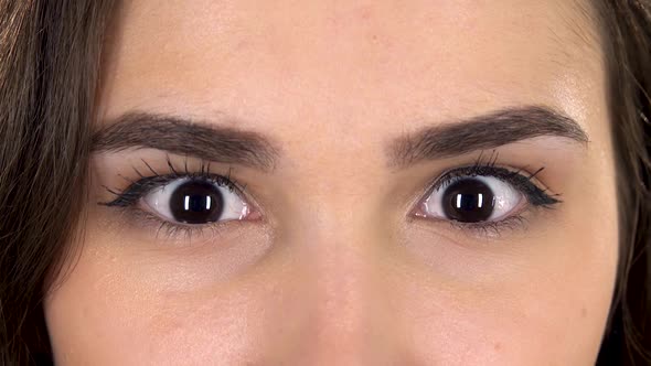 Close Up of Brown Beautiful Girl Eyes.