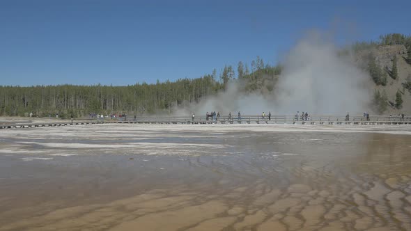 Geyser at Yellowstone National Park