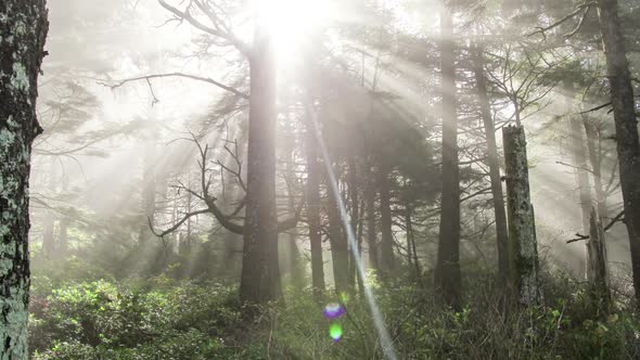 Time lapse of the light rays through the fog.