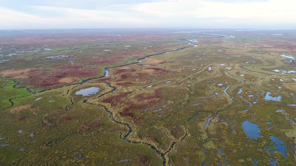 Aerial view of wide wetland ecosystem near the ocean, Netherlands.