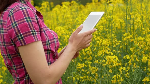 A young woman farmer walks into a rapeseed field and checks the quality of the plant