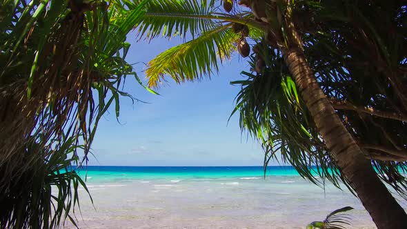 Tropical Beach with Cocopalms in French Polynesia 