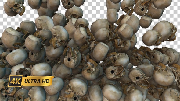 Skull Transition 5 alt