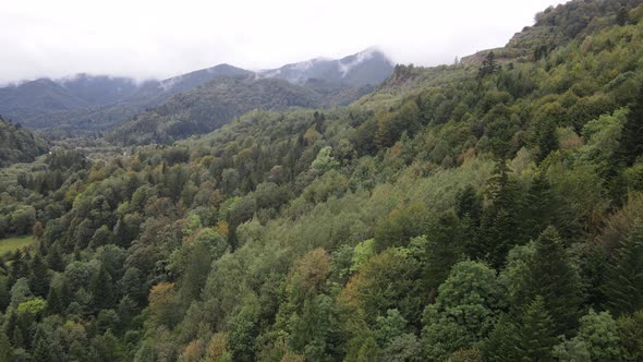 Nature of Ukraine: Carpathian Mountains Slow Motion. Aerial View