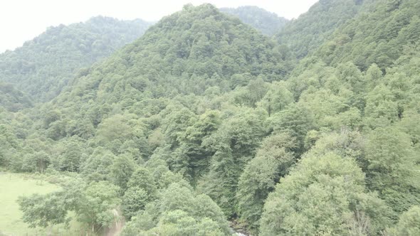 Mtirala National Park from drone, Adjara, Georgia. Flying over subtropical mountain forest