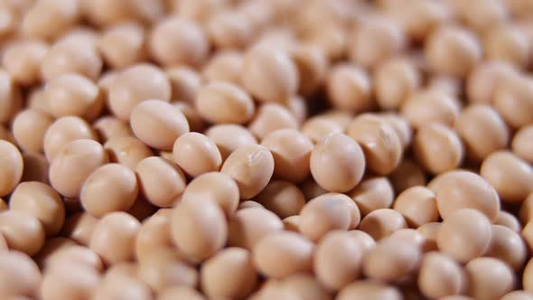 Raw Soy Bean Top View Texture High in Fiber Supplementary Food Protein Healthy Food Soybeans Organic