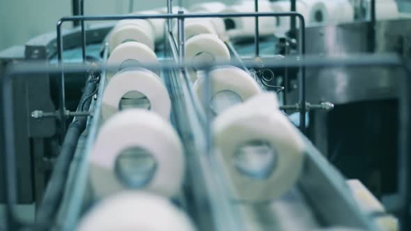 Static Shot of Toilet Paper Production Line