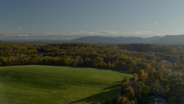 Wide shot of green lawn surrounded with autumn forest