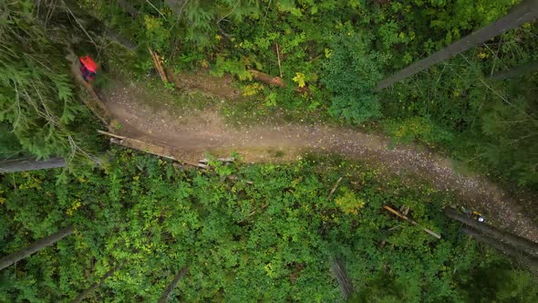 Cyclist Rides in the Woods