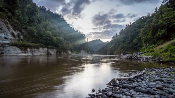 Calm Evening on Whanganui River Side in New Zealand Wild Nature