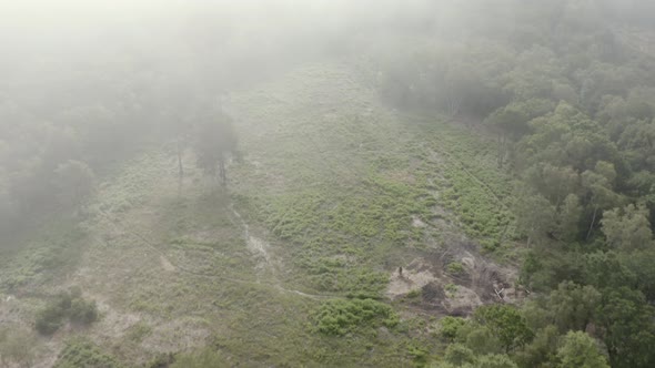 Aerial drone shot in mist and fog above field