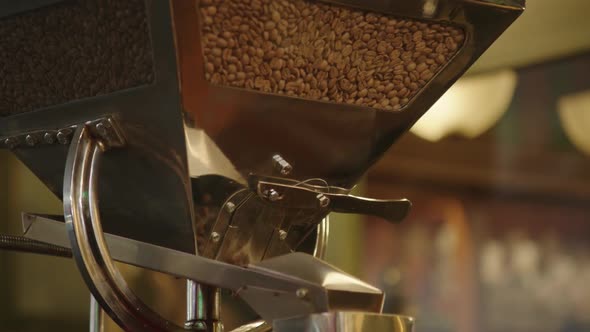 Freshly roasted coffee beans pouring in an electric grinder for preparing to grind coffee