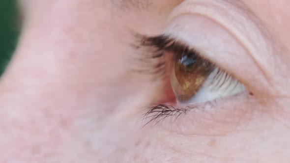 Female Brown Eye Looks Into the Camera Closeup