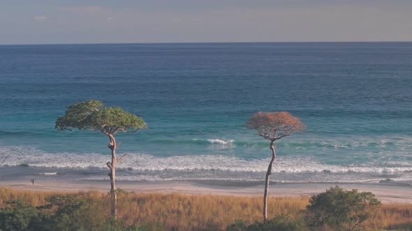 White sandy beach near Nosara, Guanacaste, Costa Rica. Aerial drone view