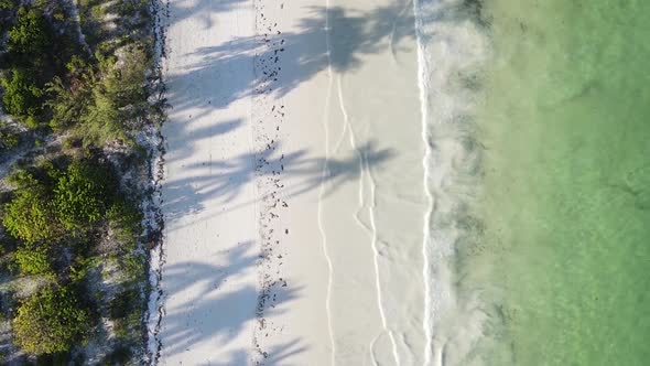 Vertical Video Empty Beach on Zanzibar Island Tanzania Aerial View