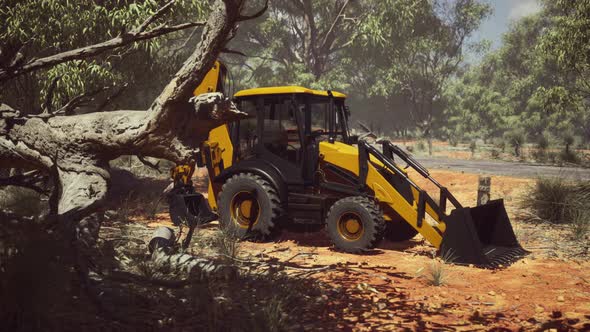 Excavator Tractor in Bush Forest