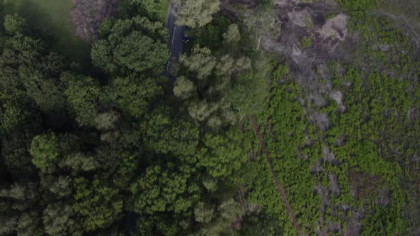 Drone aerial birds eye view shot of car tracking along countryside forest road