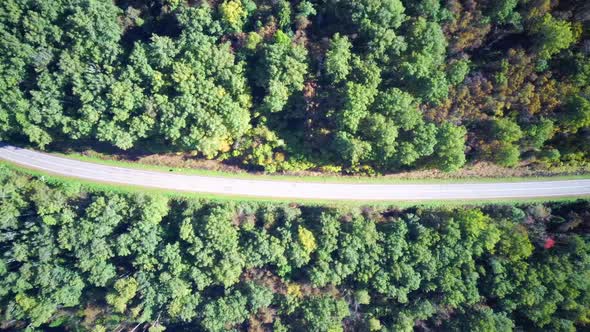 Aerial Video Road Forest