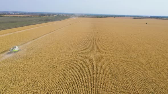 Different Combine Machines Harvesting Corn In The Field 26