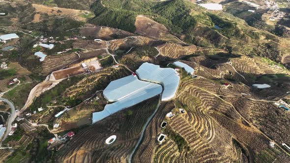 Banana greenhouse aerial view 4 K