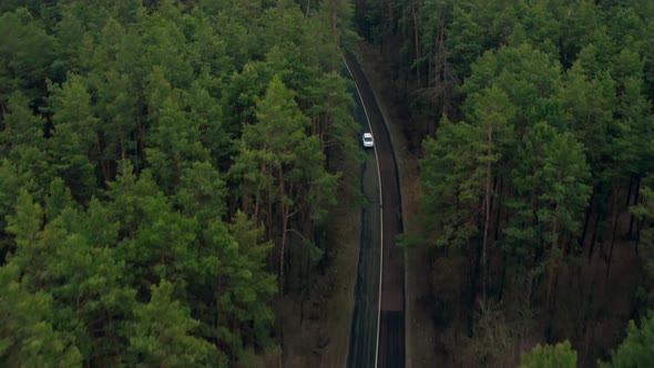 Transport Road Cargo Industry Nature Lifestyle Rain Forest Truck