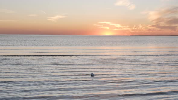 Medical Mask Lies on Sea Wet Sand Beach Against Setting Sun