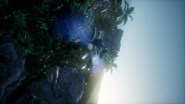 Sunset Beams Through Palm Trees alt