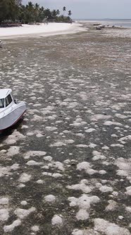 Tanzania  Vertical Video of Low Tide in the Ocean Near the Coast of Zanzibar Slow Motion